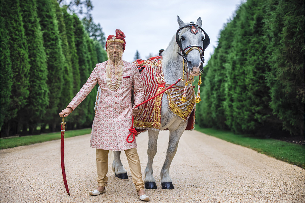 Wedding Horse? Tradition, Meaning & Modern Trends