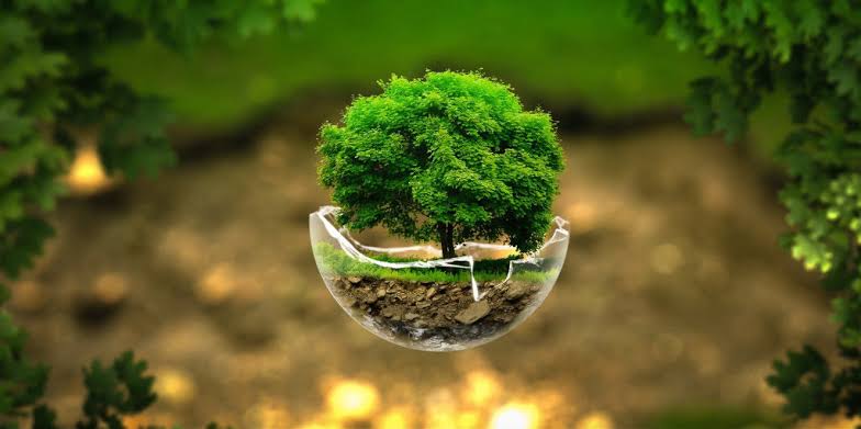 Nature Facts: 10 Amazing Discoveries About the Wonderful World Around Us
