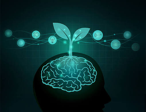 5 Mindset Lessons to Be Our Best Selves