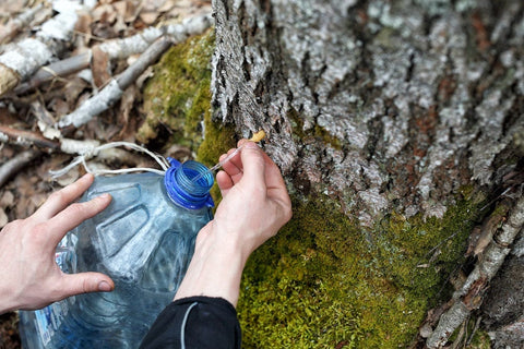 Survival Skills: Essential Skills for Modern Life