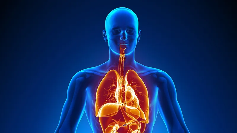 Fun Facts About the Human Body: 25 Amazing Things You Never Knew