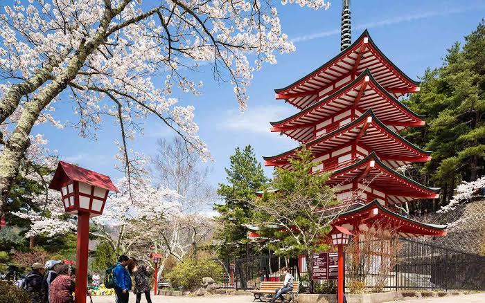 7 Essential Japan Travel Tips for First-Timers – What to Know